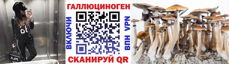 Галлюциногенные грибы мицелий блэк спрут ССЫЛКА Фурманов